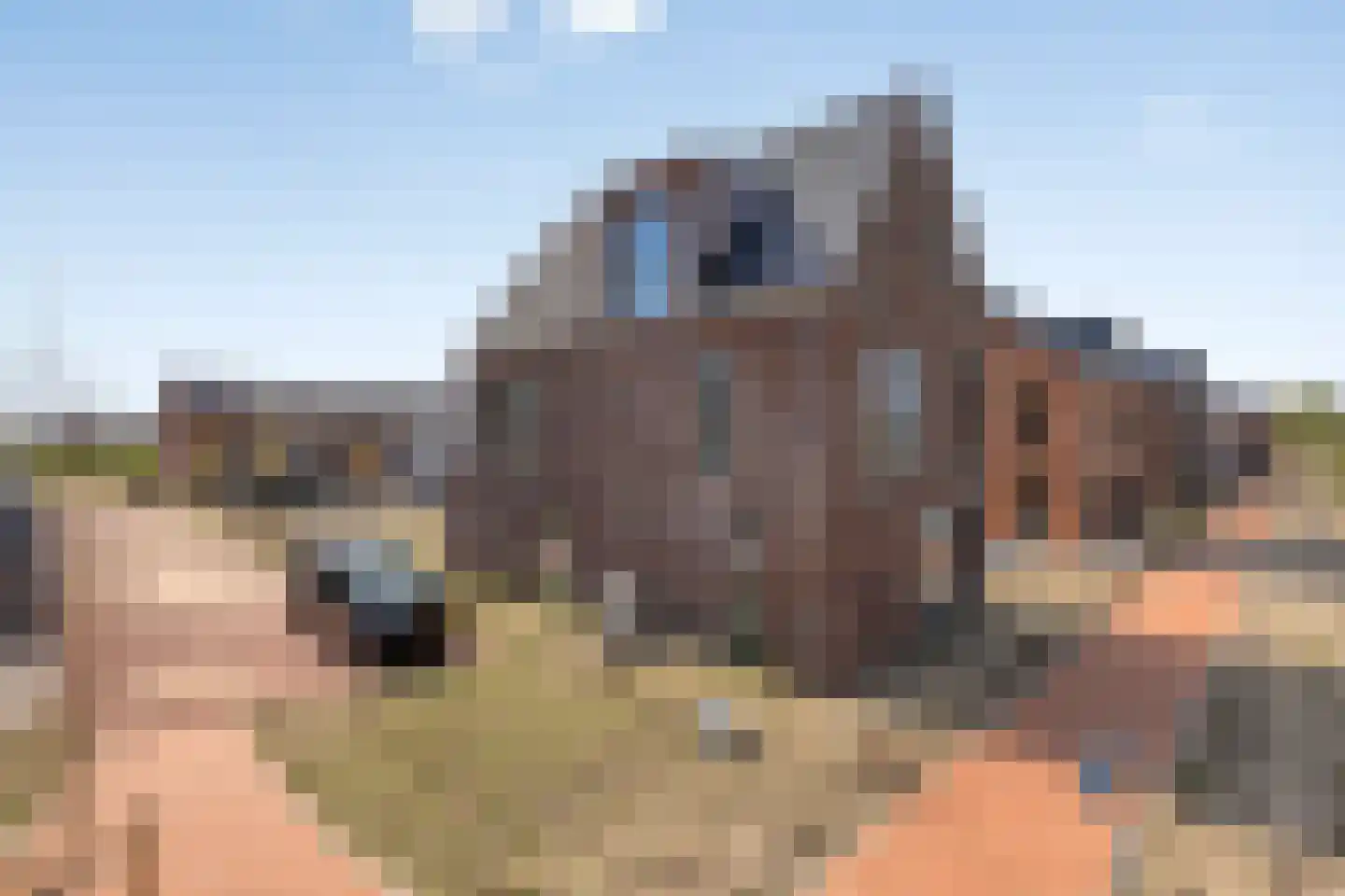 Telvorenpad 1 Zwolle