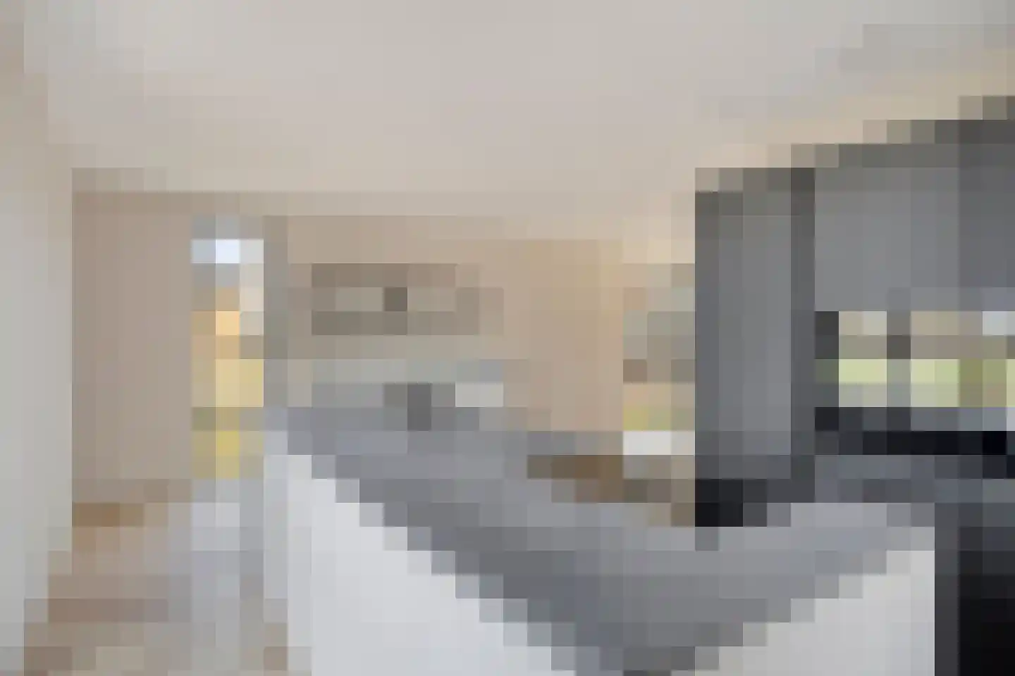 Telvorenpad 1 Zwolle thumbnail 13