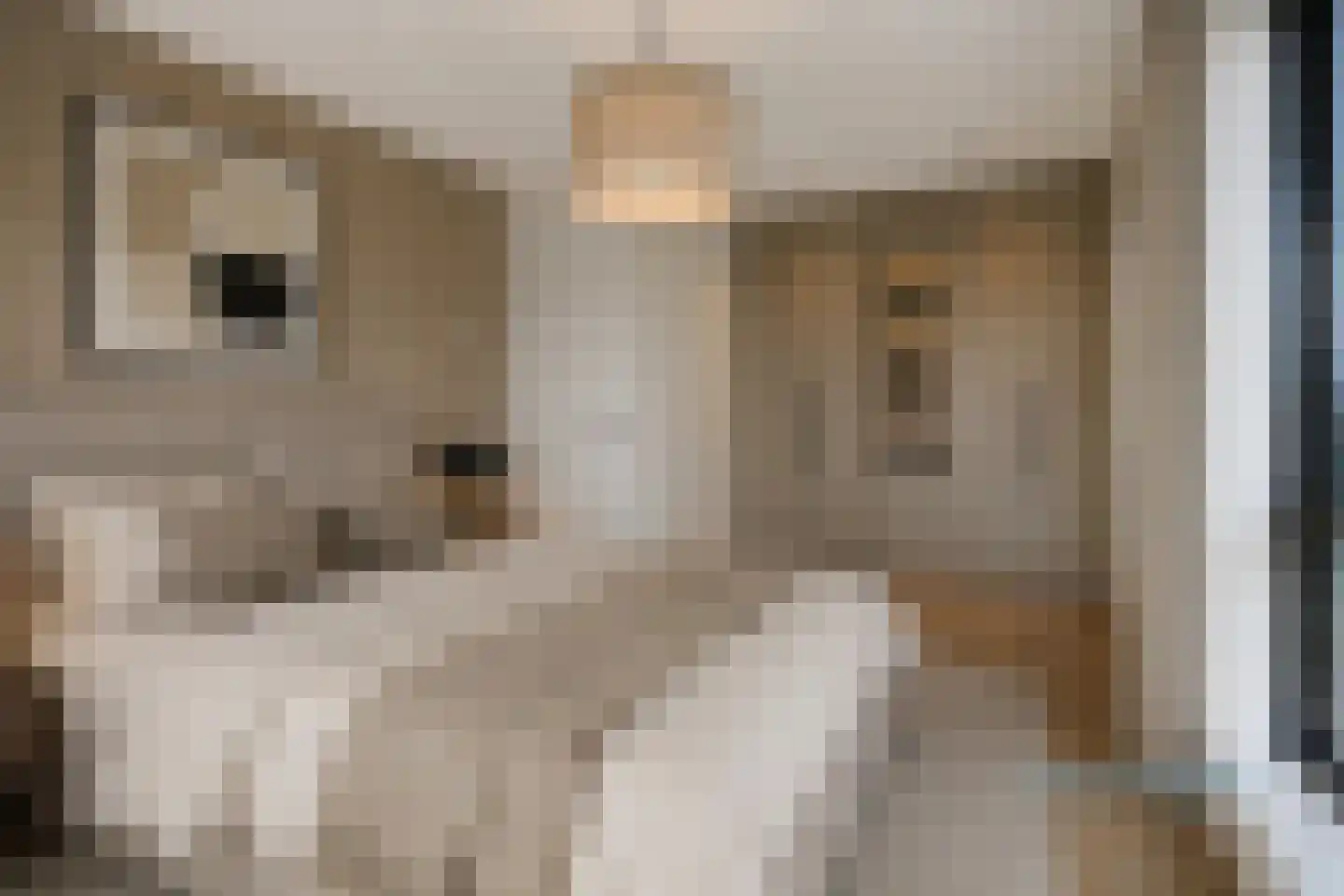 Telvorenpad 1 Zwolle thumbnail 18