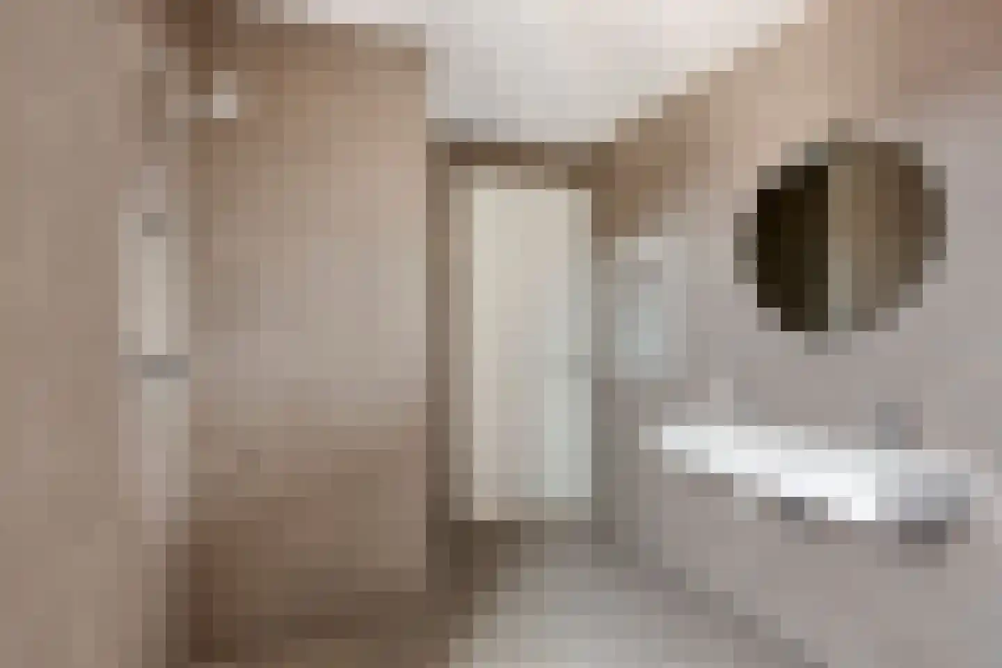 Telvorenpad 1 Zwolle thumbnail 20