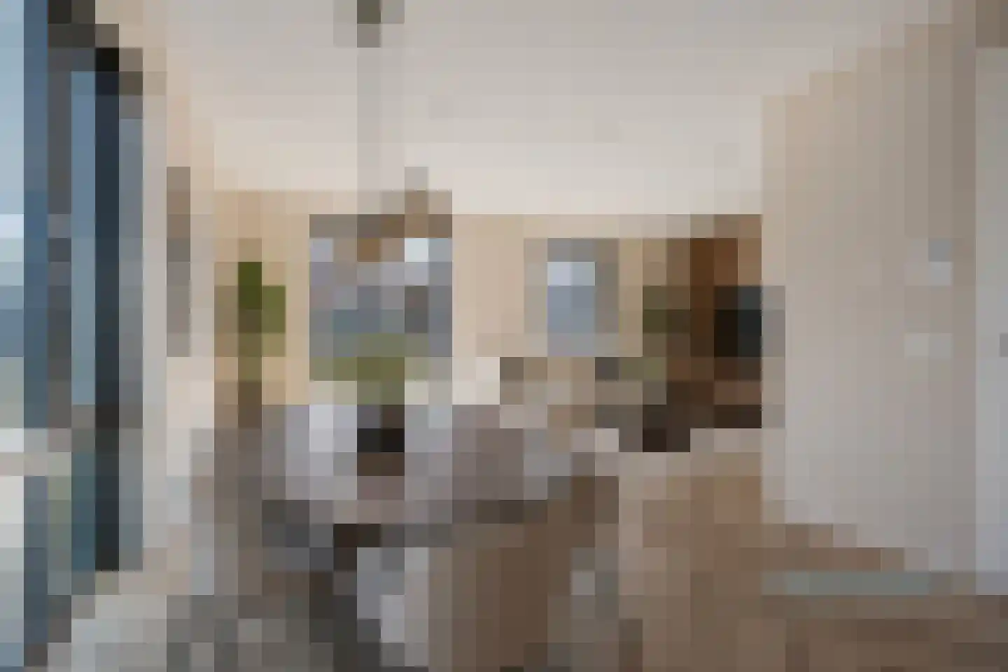 Telvorenpad 1 Zwolle thumbnail 5