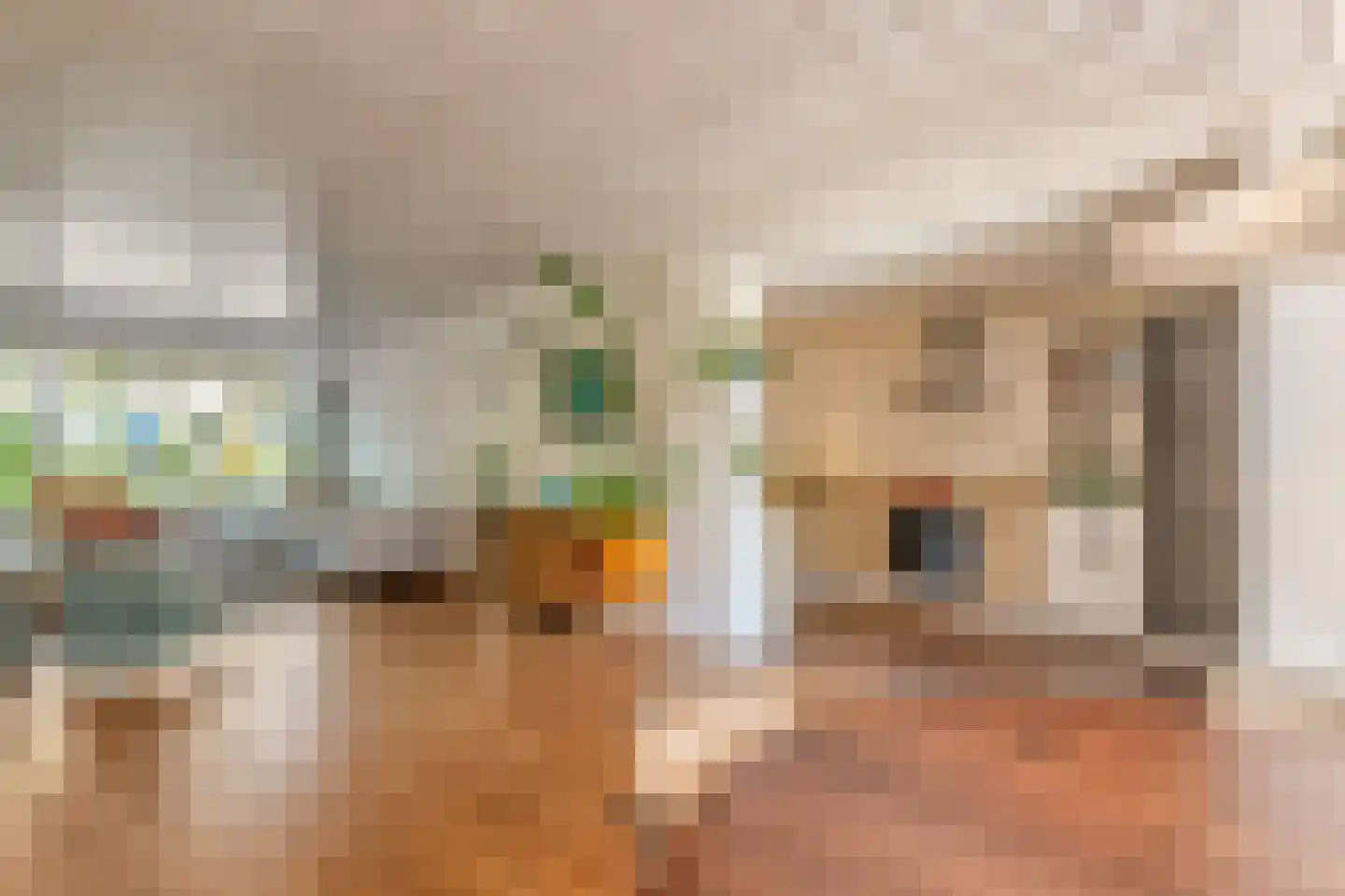 Tempelaarstraat 6 Castricum thumbnail 14