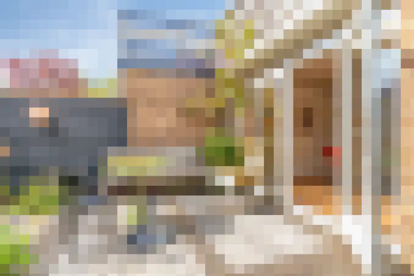 Tempelaarstraat 6 Castricum thumbnail 44