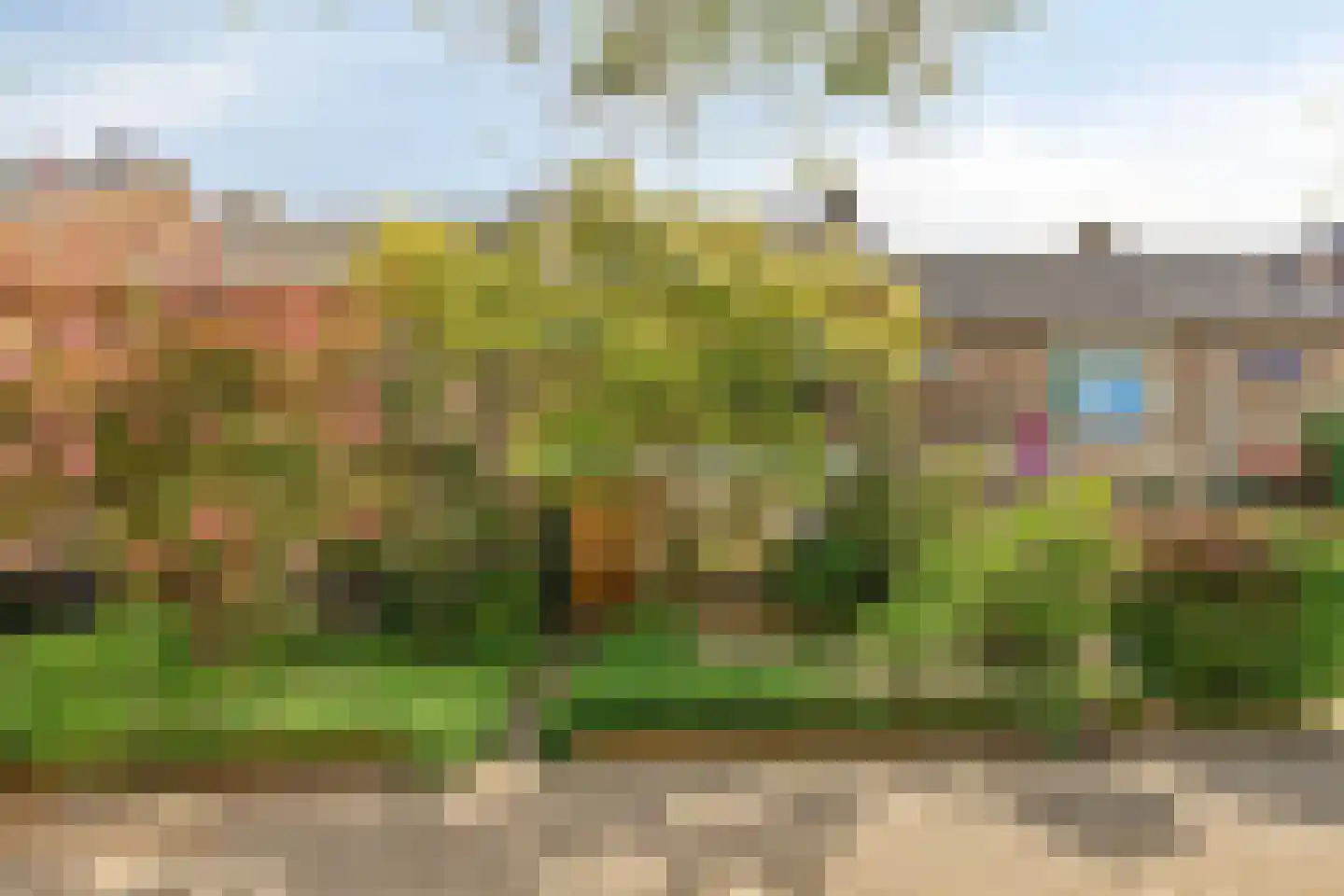 Tempelaarstraat 6 Castricum thumbnail 5