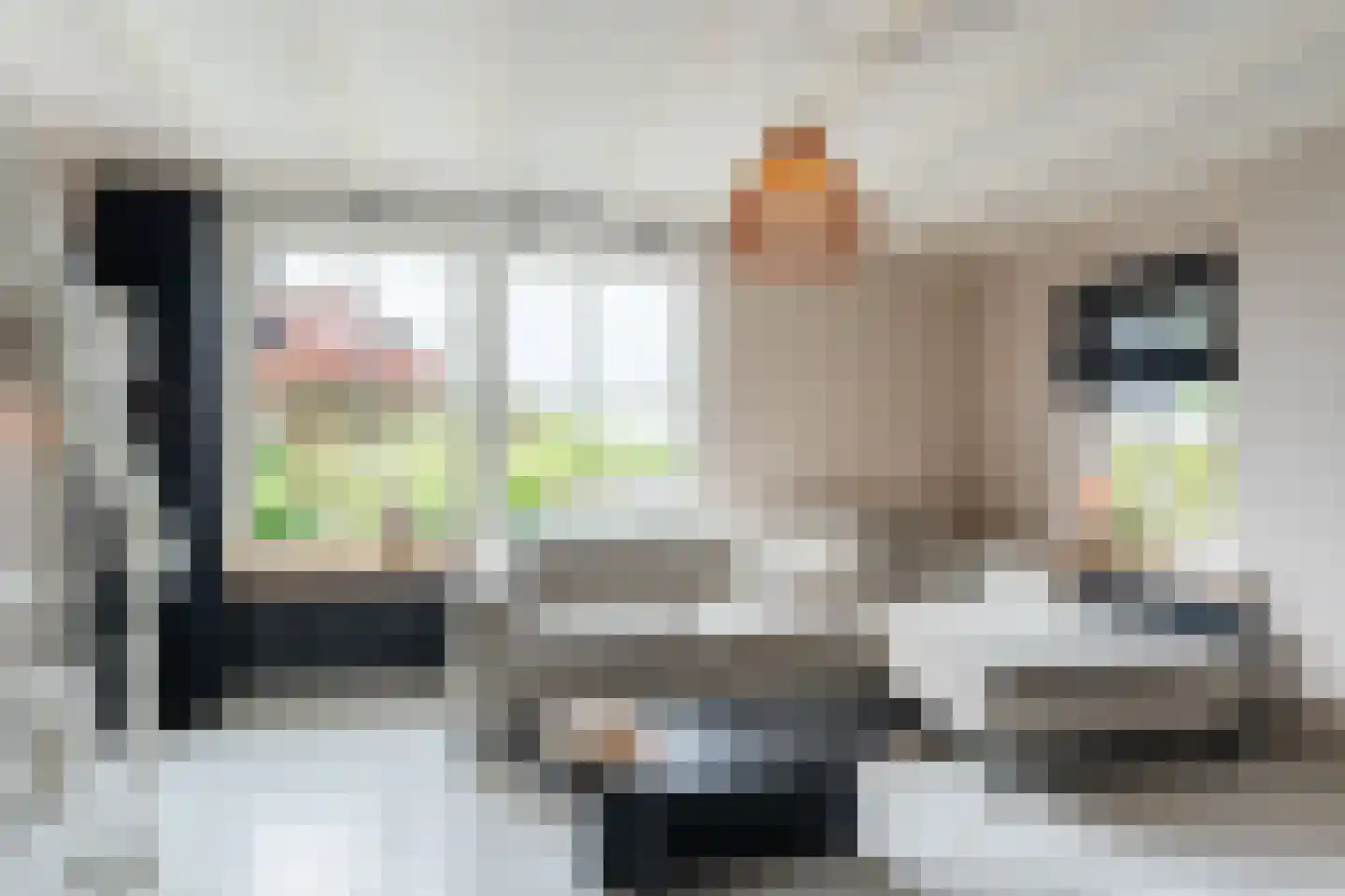 Tempeldijk 38 Reeuwijk thumbnail 39