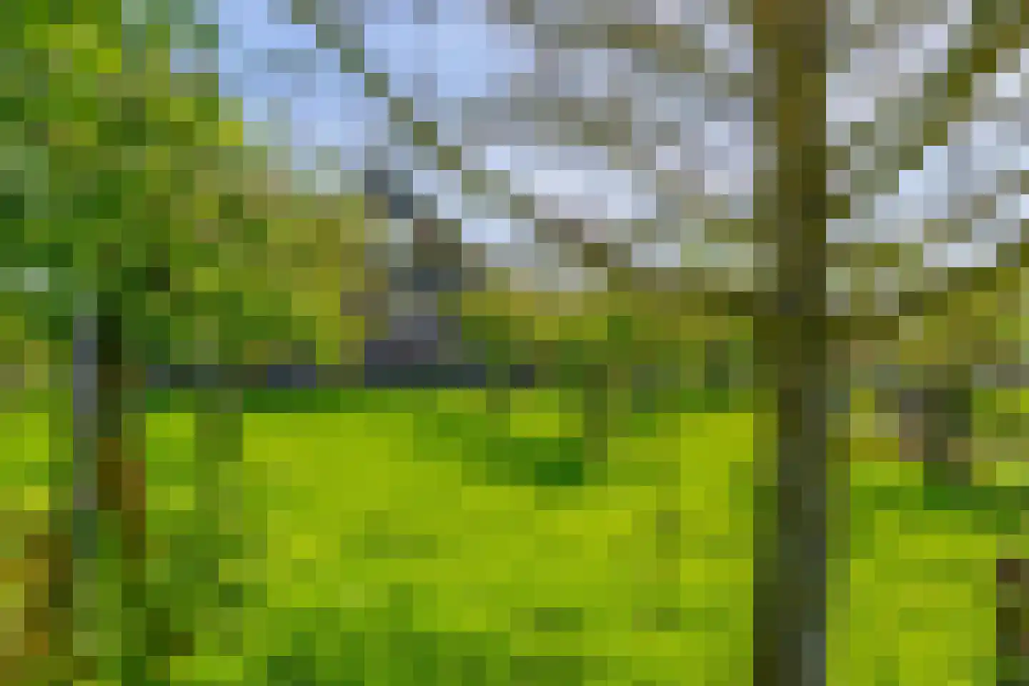 Tempeldijk 7 Reeuwijk thumbnail 34
