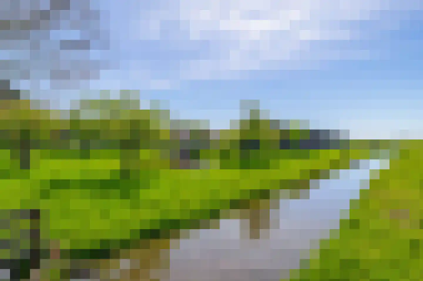 Tempeldijk 7 Reeuwijk thumbnail 38