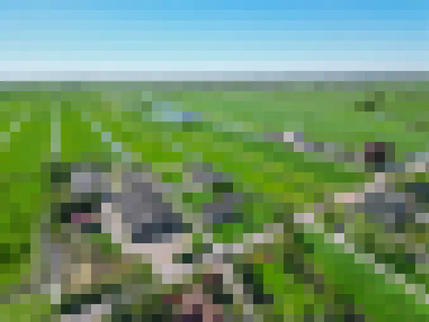 Tempeldijk 7 Reeuwijk thumbnail 50
