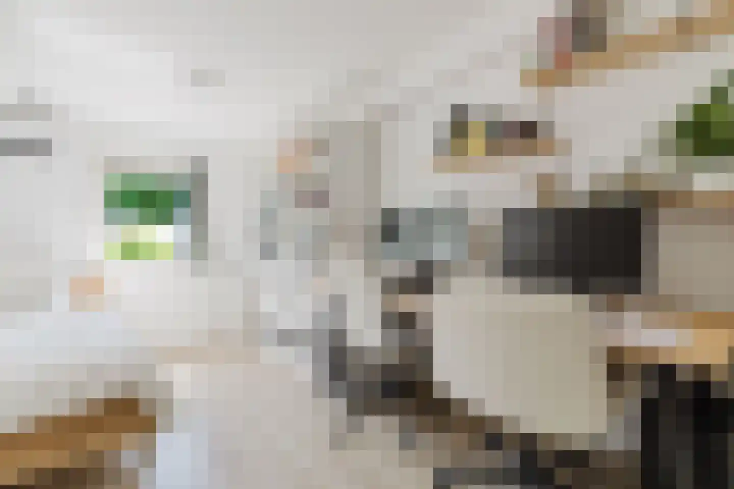 Tempelhofstraat 2 Tilburg thumbnail 21