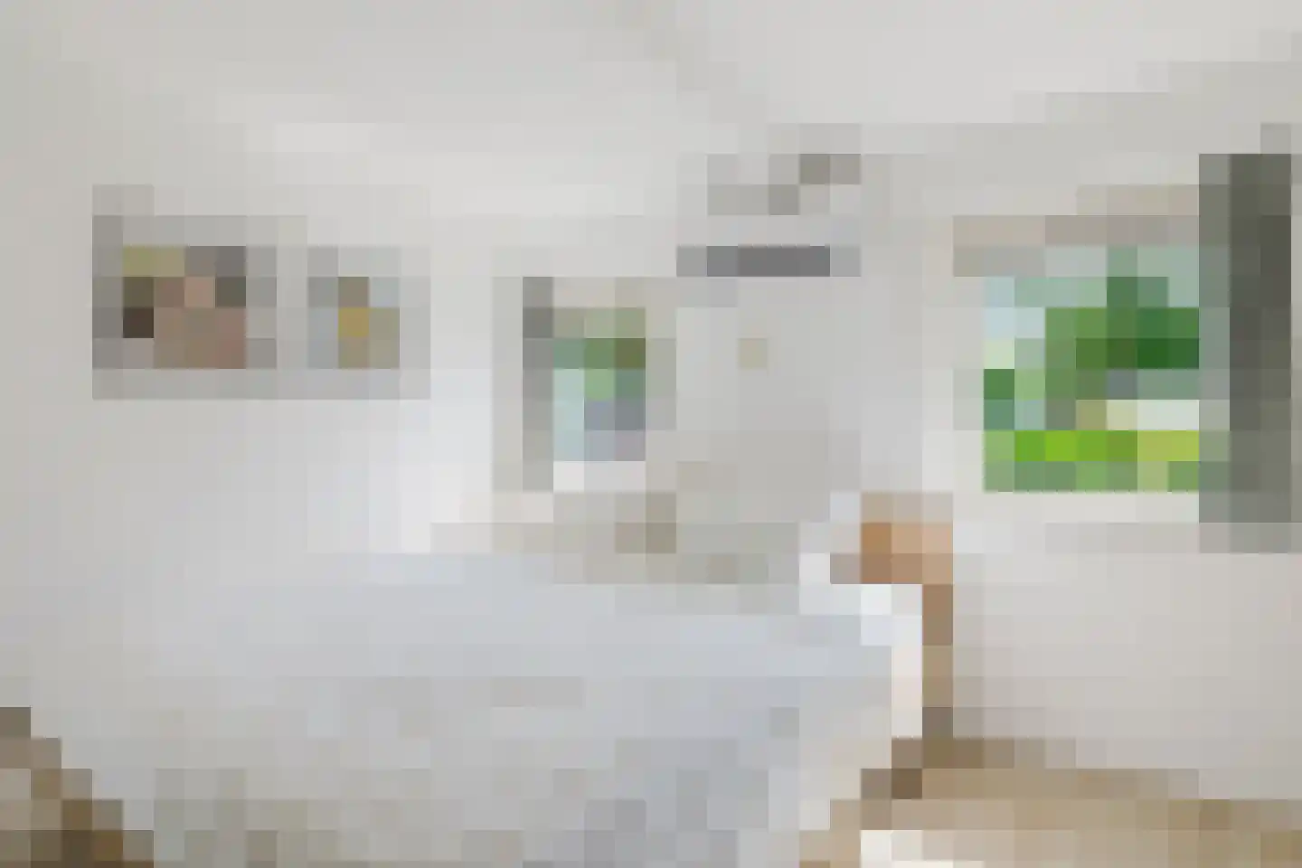 Tempelhofstraat 2 Tilburg thumbnail 5