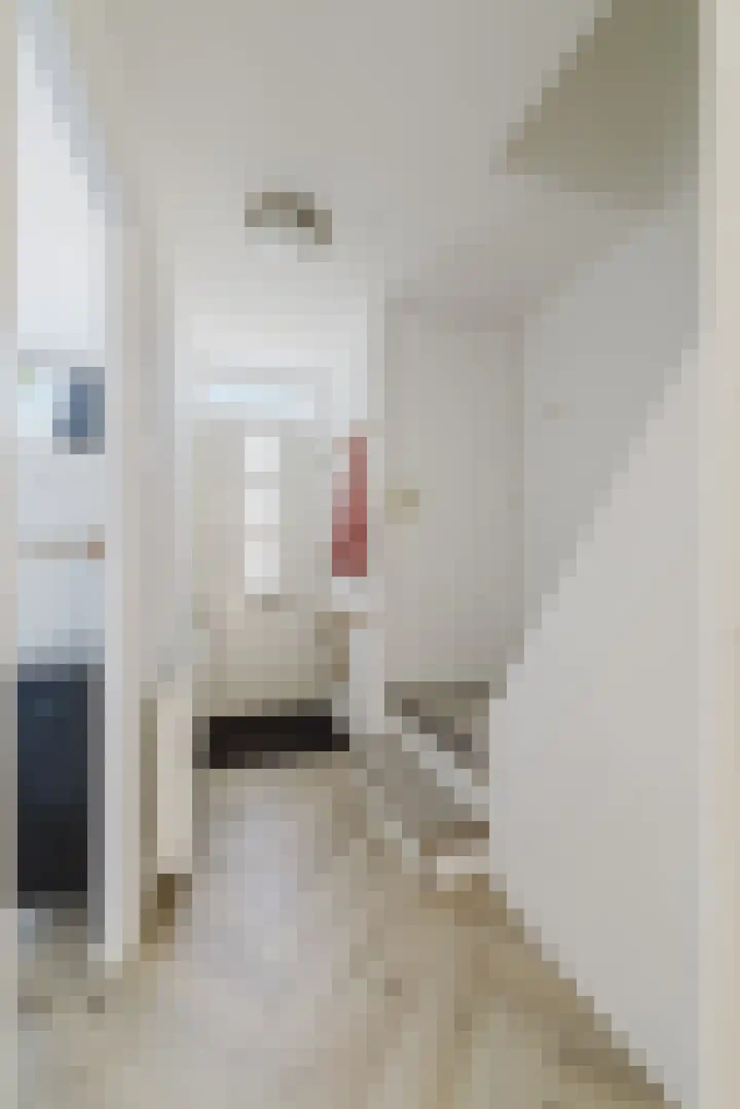 Tempelhofstraat 2 Tilburg thumbnail 7