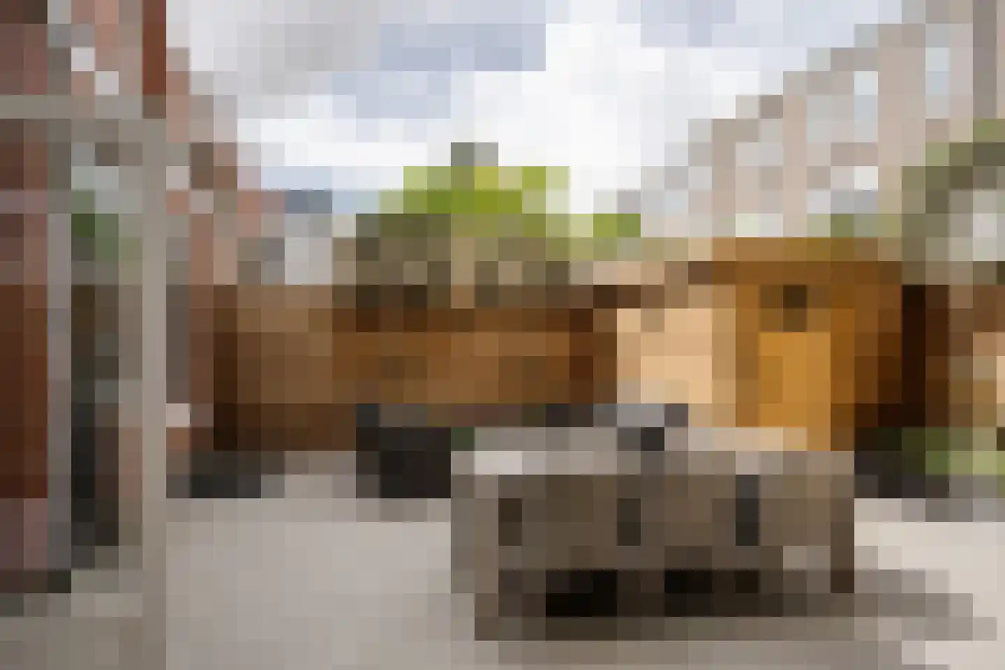 Tempeliersstraat 21 Haarlem thumbnail 25