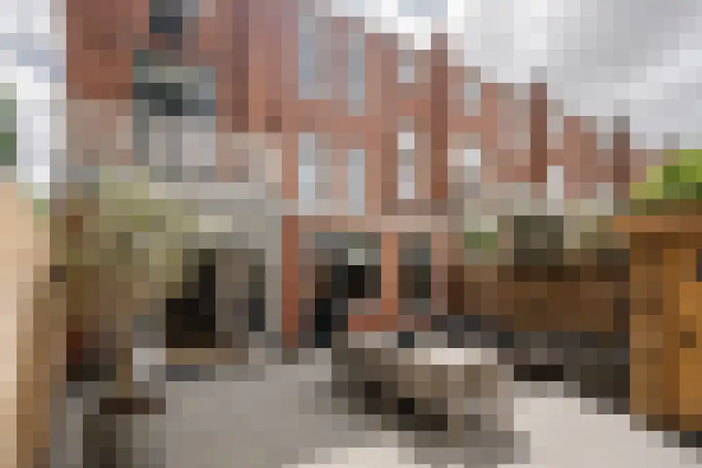 Tempeliersstraat 21 Haarlem thumbnail 26