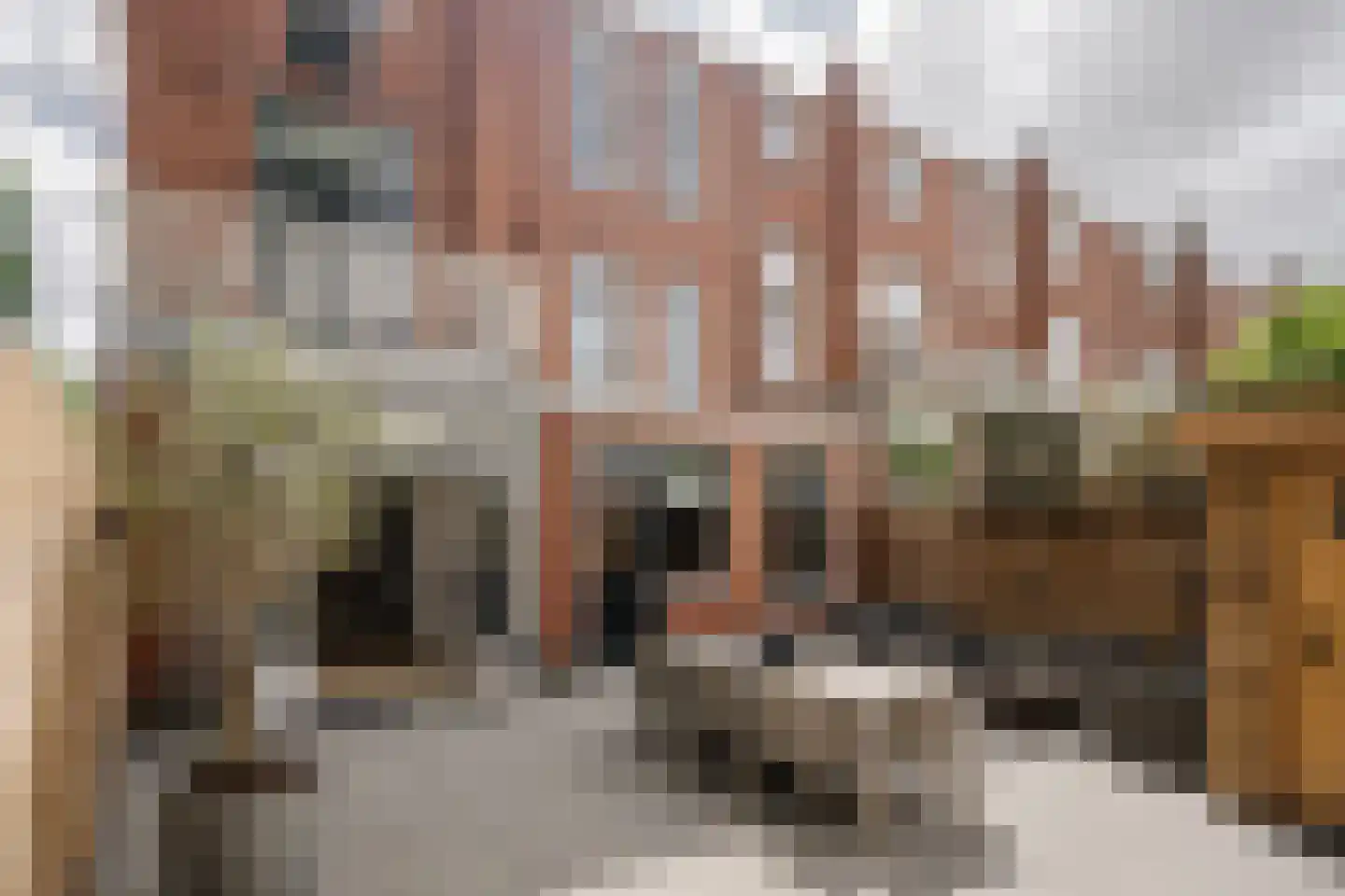 Tempeliersstraat 21 Haarlem thumbnail 27