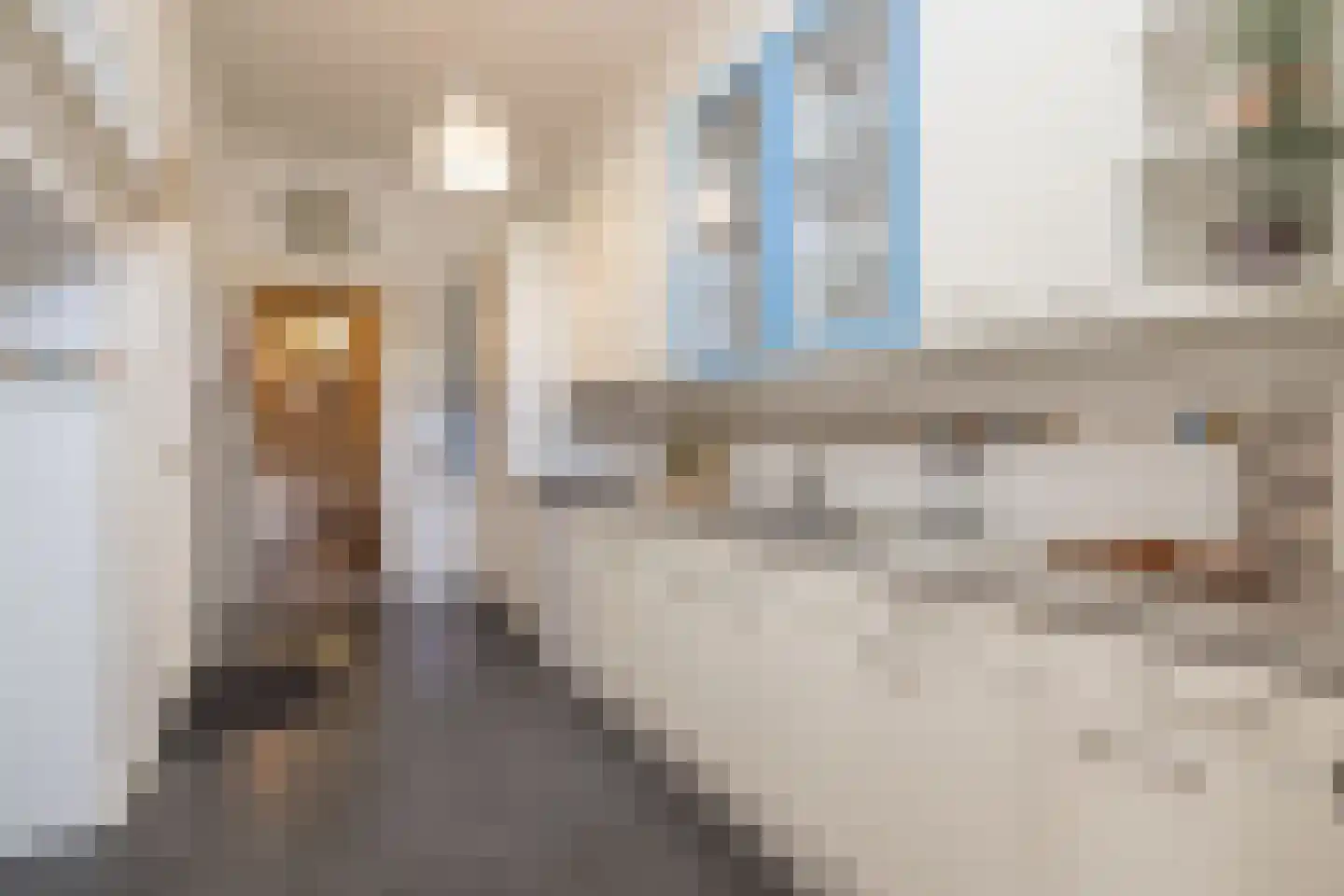 Tempeliersstraat 7 Haarlem thumbnail 27
