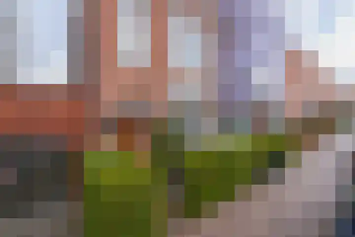 Tempeliersstraat 7 Haarlem thumbnail 5