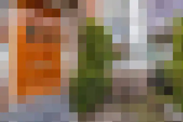 Tempeliersstraat 7 Haarlem thumbnail 6