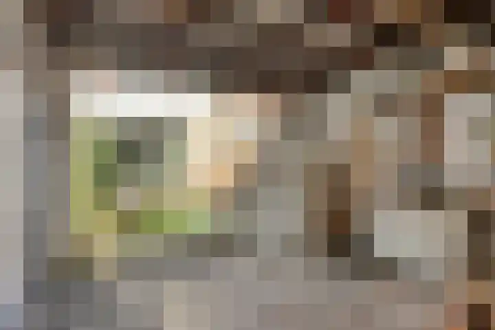 Tempelierstraat 41 Oosterhout thumbnail 25