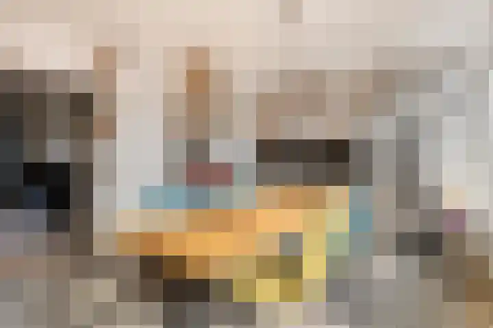 Tempelierstraat 41 Oosterhout thumbnail 8