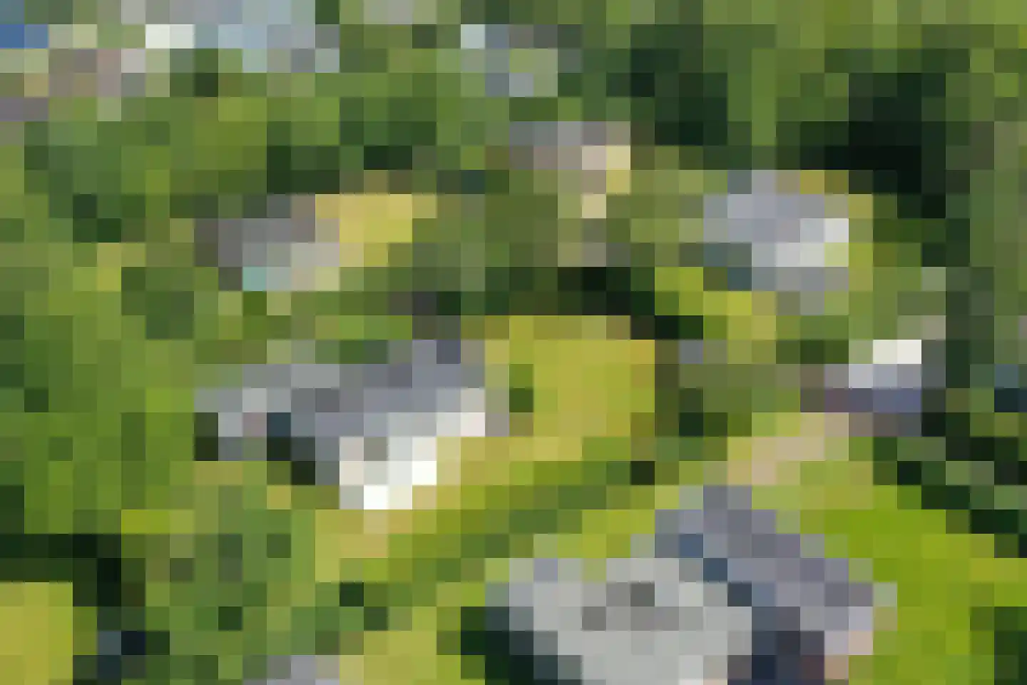Tempelierweg 35 Den Burg thumbnail 55