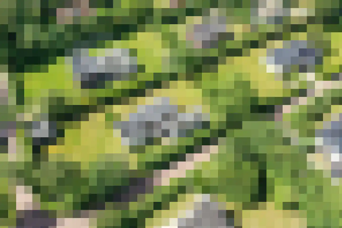 Tempelierweg 35 Den Burg thumbnail 56