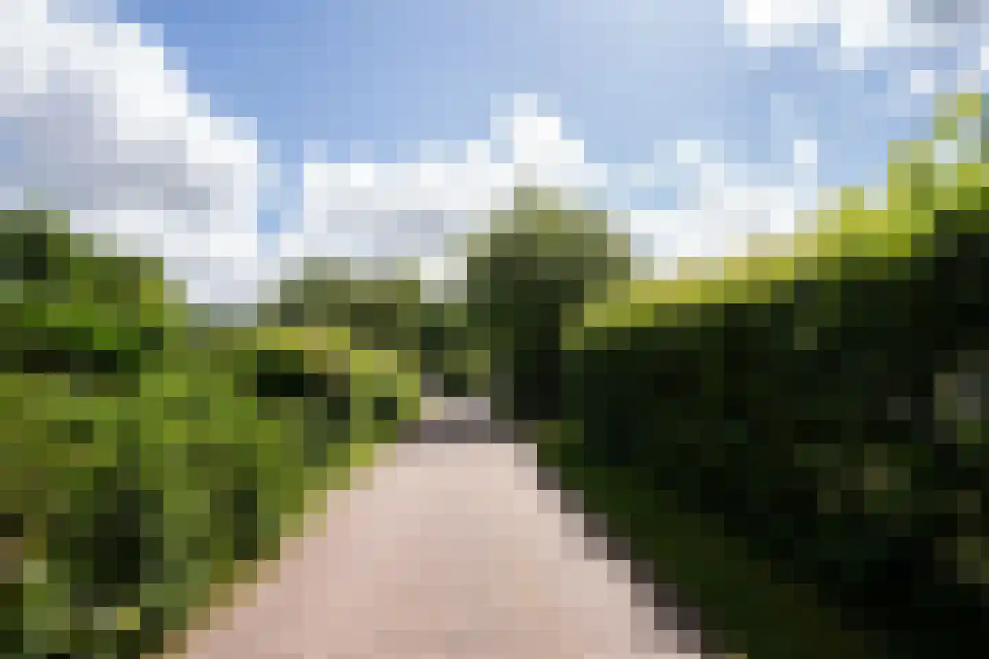 Tempelierweg 35 Den Burg thumbnail 57