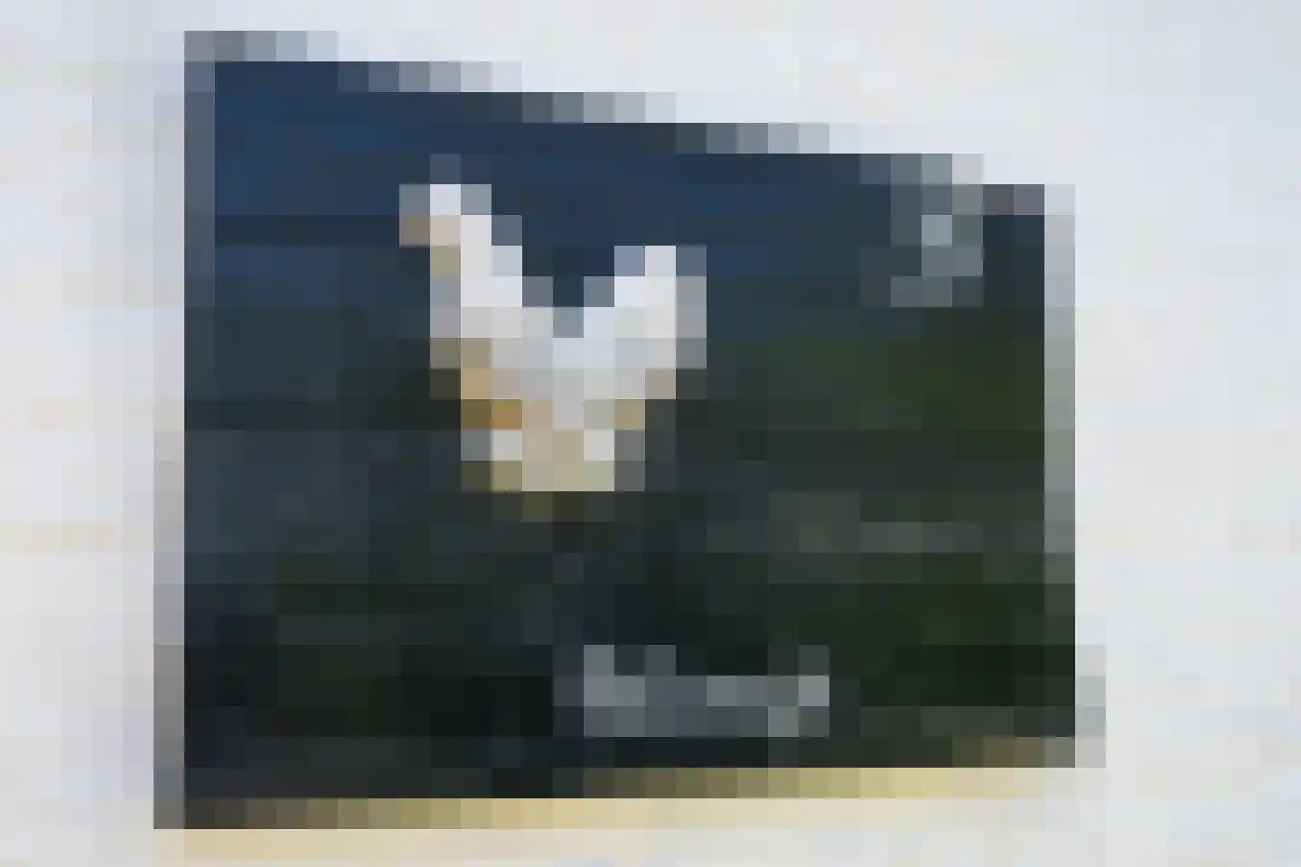 Tempelierweg 35 Den Burg thumbnail 7