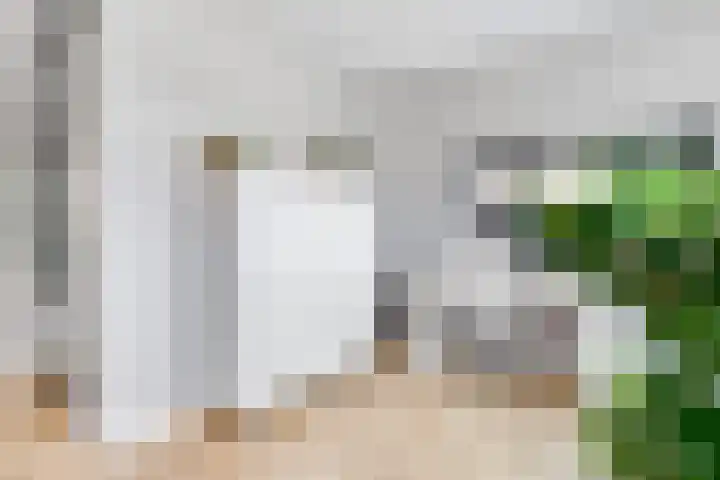 Tempellaan 11 Bilthoven thumbnail 25