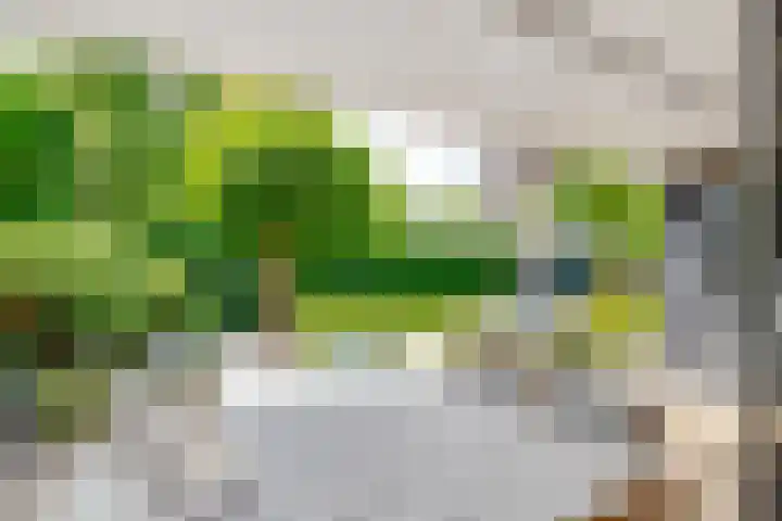 Tempellaan 11 Bilthoven thumbnail 26