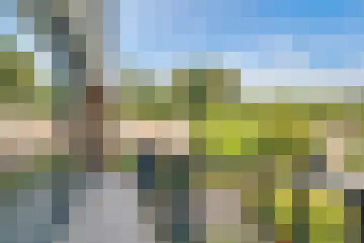 Tempellaan 11 Bilthoven thumbnail 30