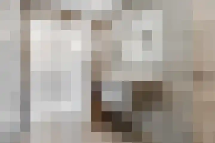 Tempellaan 11 Bilthoven thumbnail 33