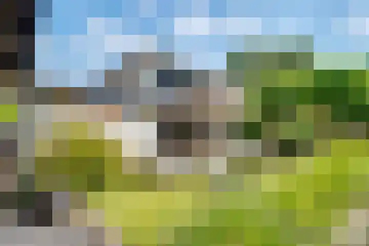 Tempellaan 11 Bilthoven thumbnail 4