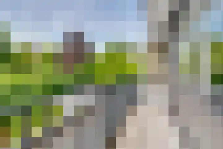 Tempellaan 11 Bilthoven thumbnail 40