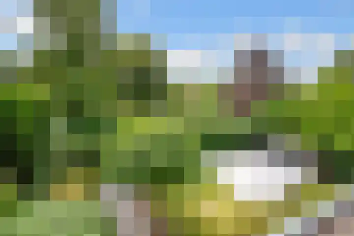 Tempellaan 11 Bilthoven thumbnail 41