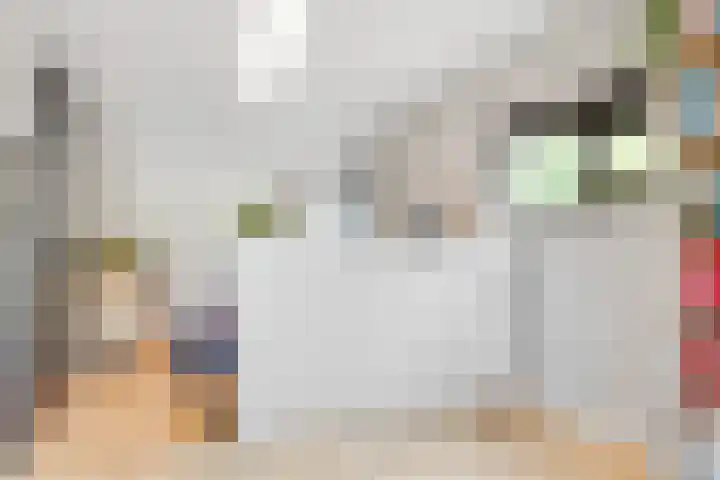 Tempellaan 11 Bilthoven thumbnail 43