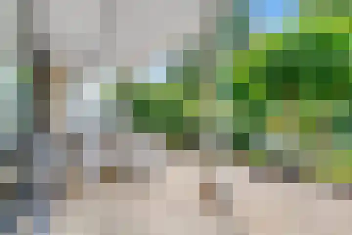 Tempellaan 11 Bilthoven thumbnail 45