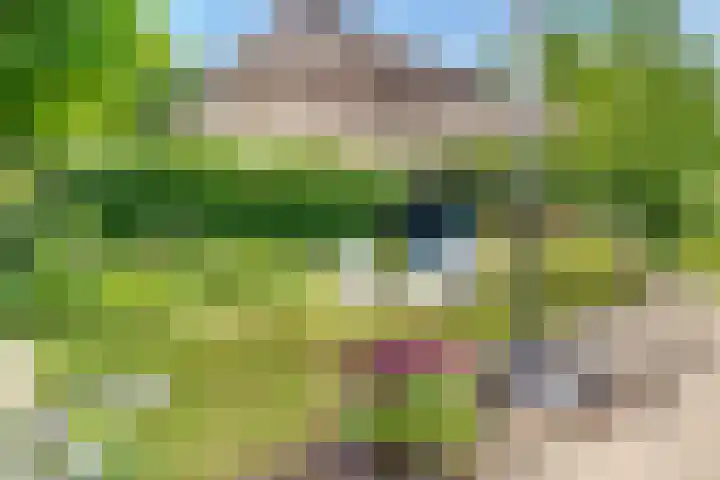 Tempellaan 11 Bilthoven thumbnail 48
