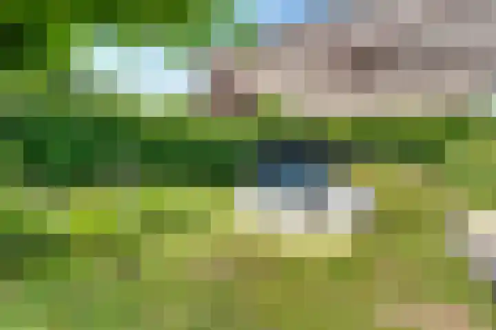 Tempellaan 11 Bilthoven thumbnail 49