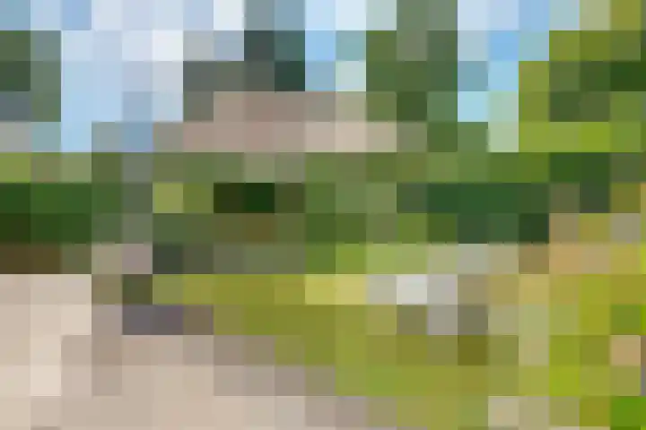Tempellaan 11 Bilthoven thumbnail 50