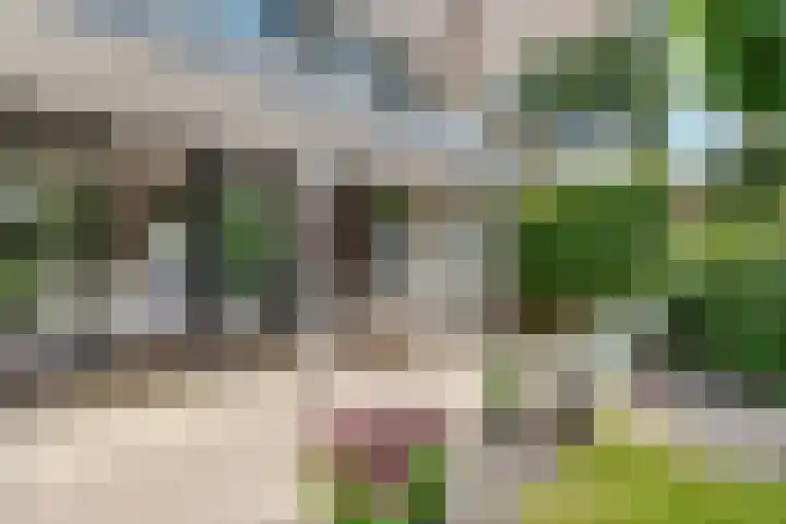 Tempellaan 11 Bilthoven thumbnail 53