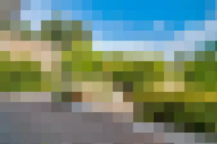 Tempellaan 11 Bilthoven thumbnail 6