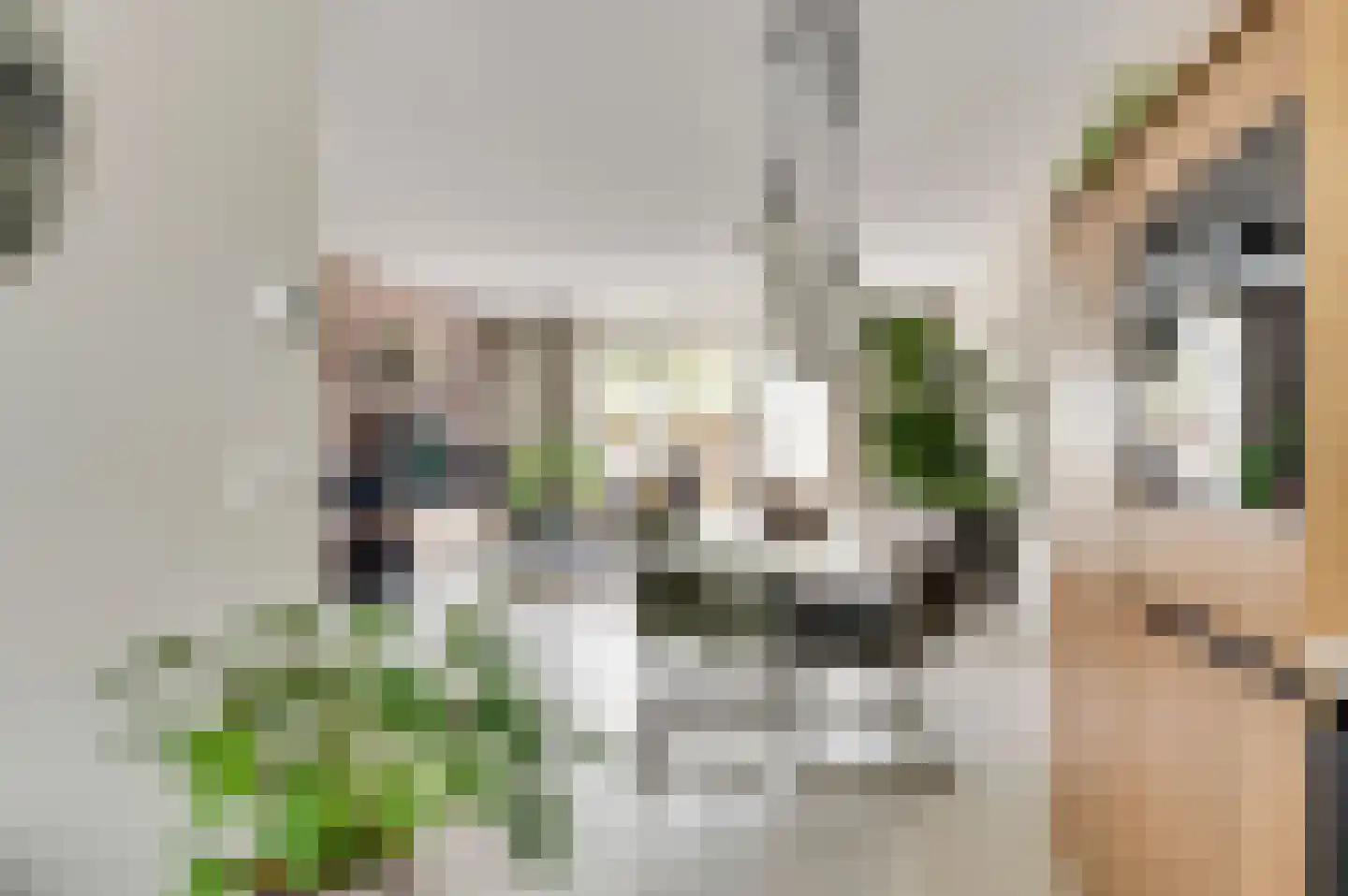 Tempelshof 12 Ospel thumbnail 10