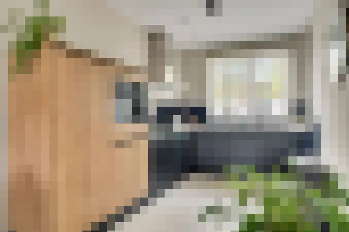 Tempelshof 12 Ospel thumbnail 11