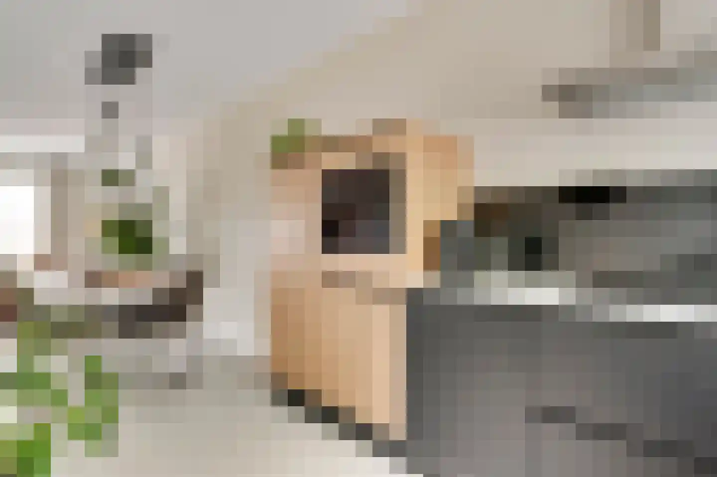 Tempelshof 12 Ospel thumbnail 13