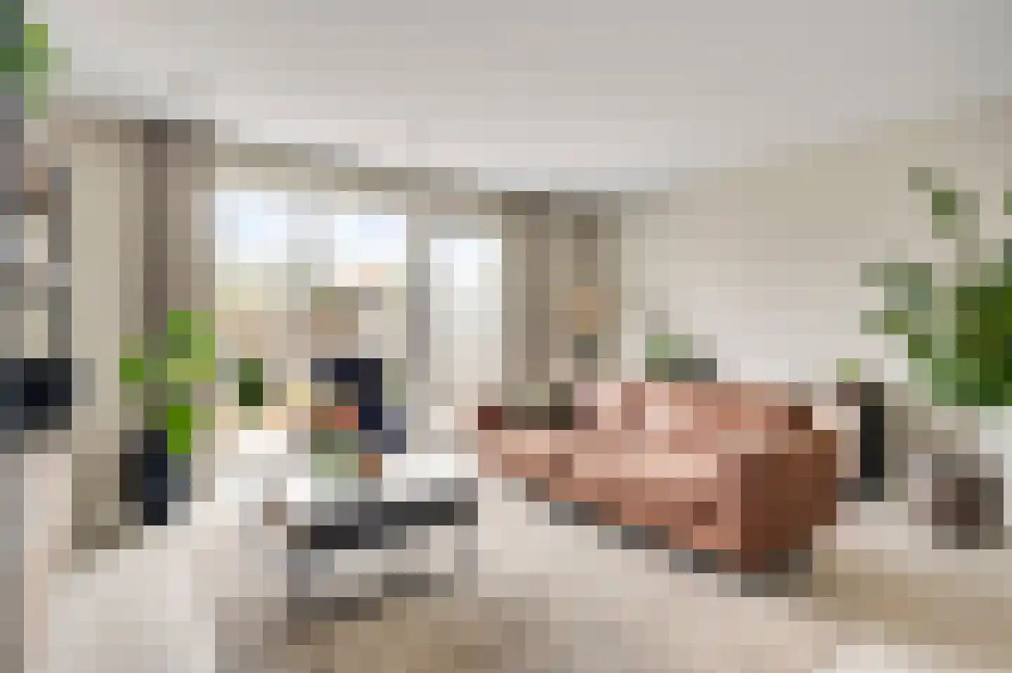 Tempelshof 12 Ospel thumbnail 15
