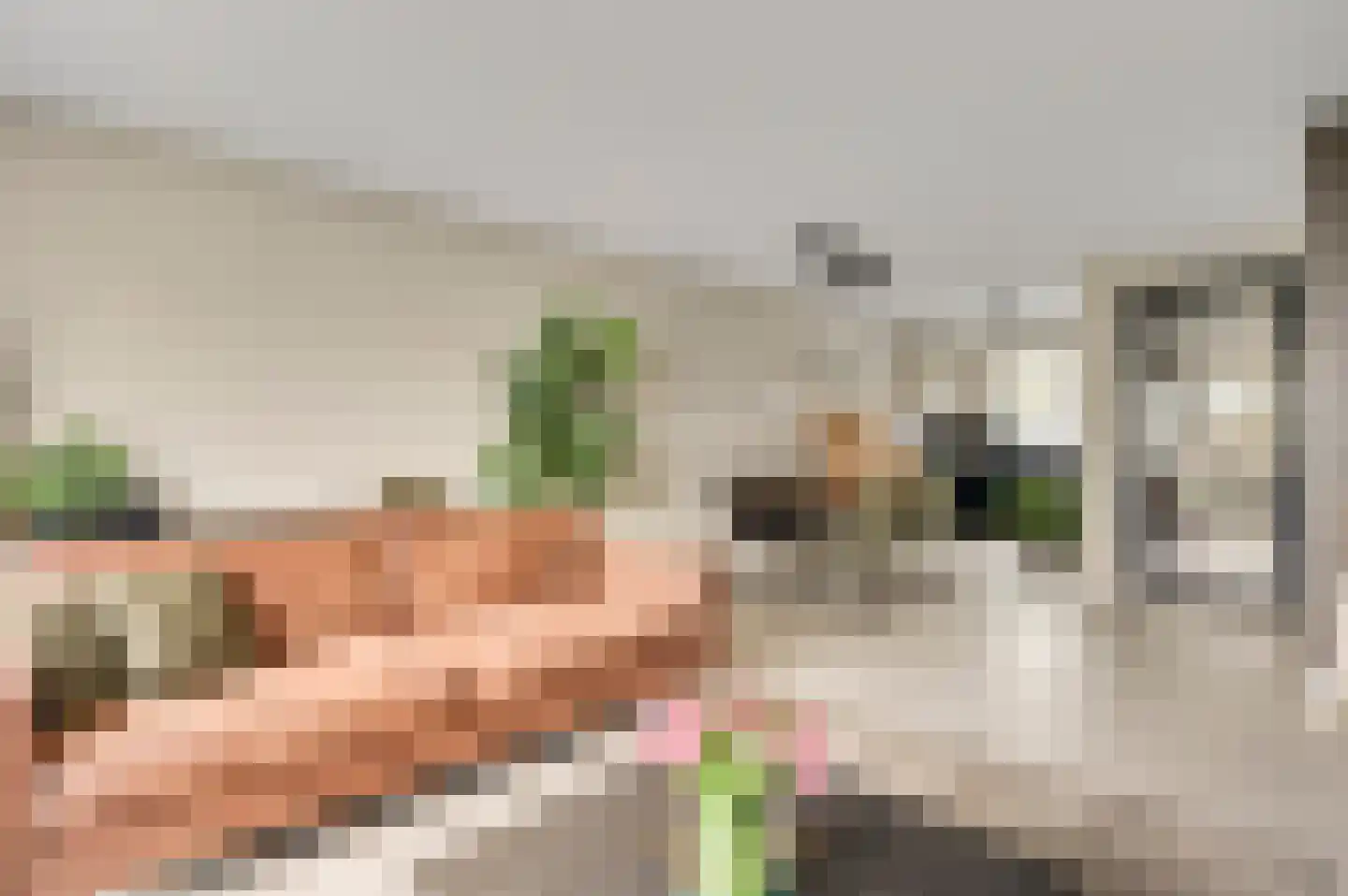Tempelshof 12 Ospel thumbnail 16