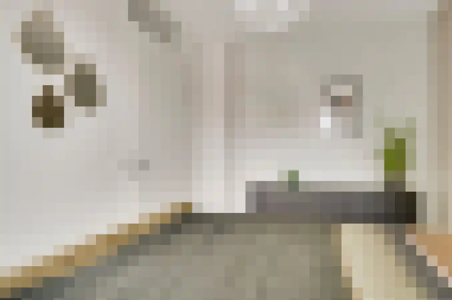 Tempelshof 12 Ospel thumbnail 26