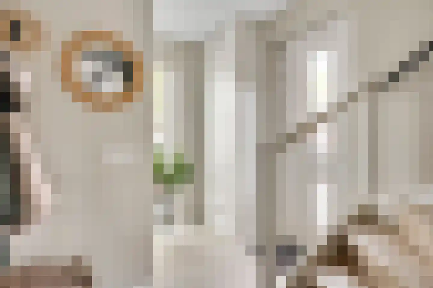 Tempelshof 12 Ospel thumbnail 7