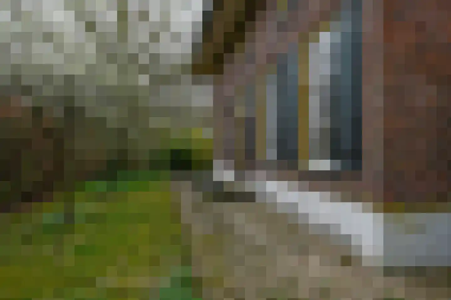 Tempelstraat 2 Beuningen Gld thumbnail 27