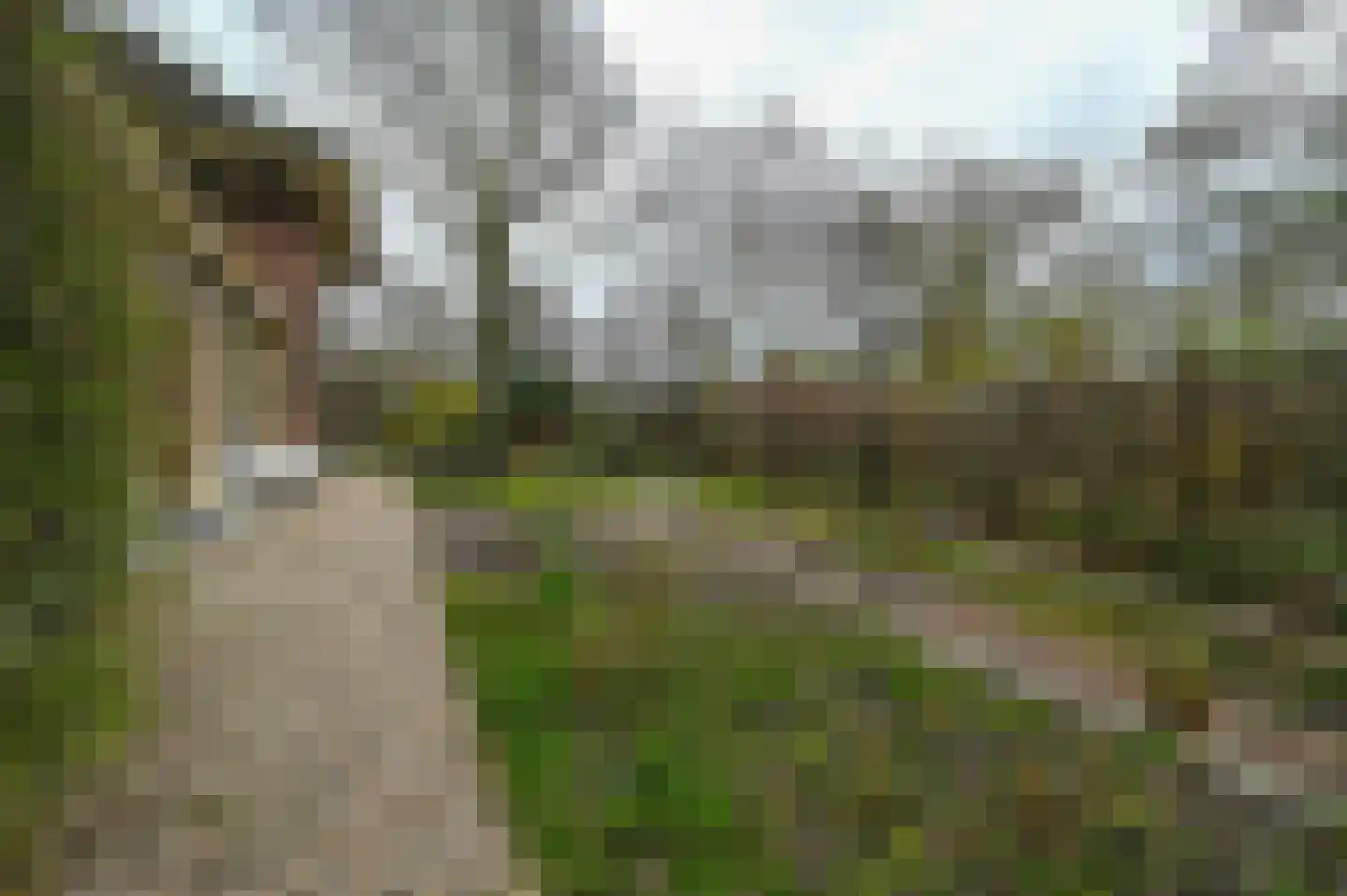 Tempelstraat 2 Beuningen Gld thumbnail 31